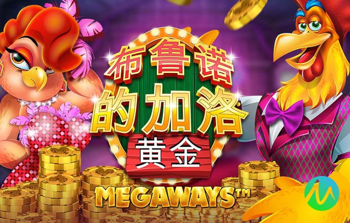 香港资料大全正版资料使用方法