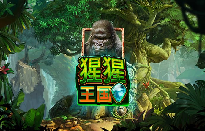 开yun体育官网入口
